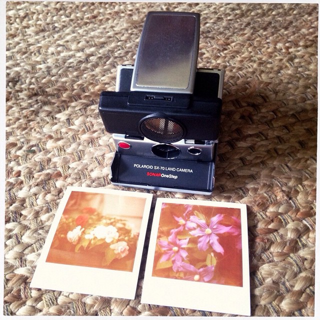SX-70 sonar and This was the best pack of expired film I've had. #sx-70