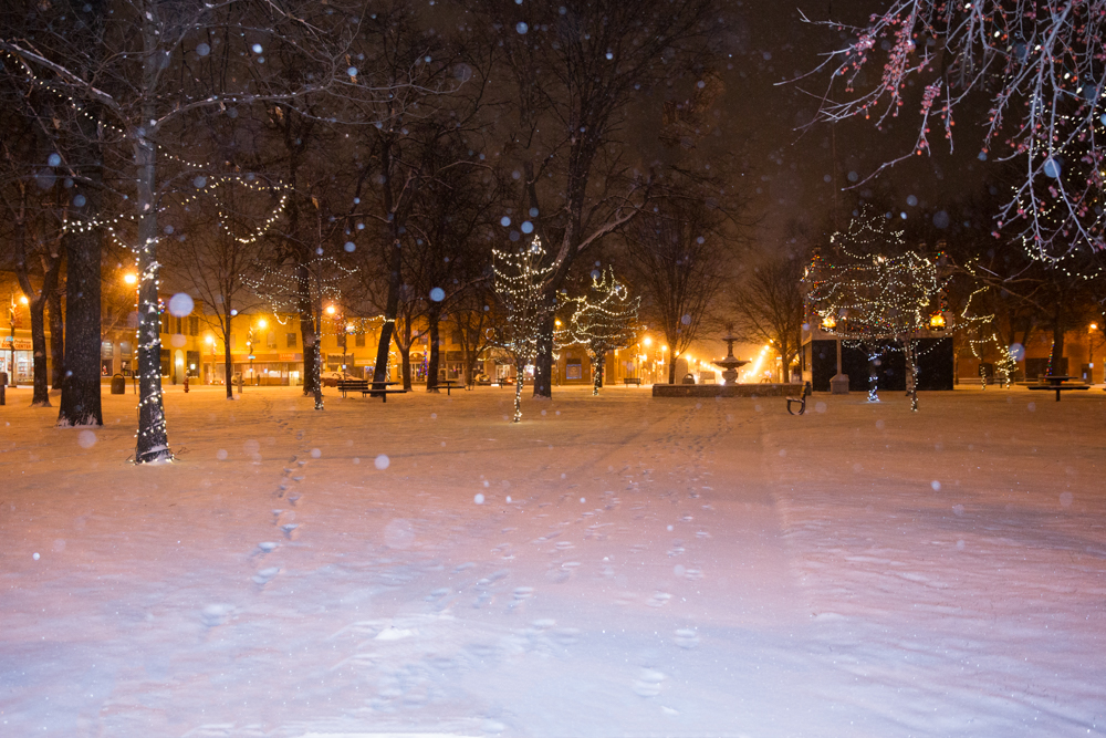 Let it snow, let it snow. Pretty Central Park in